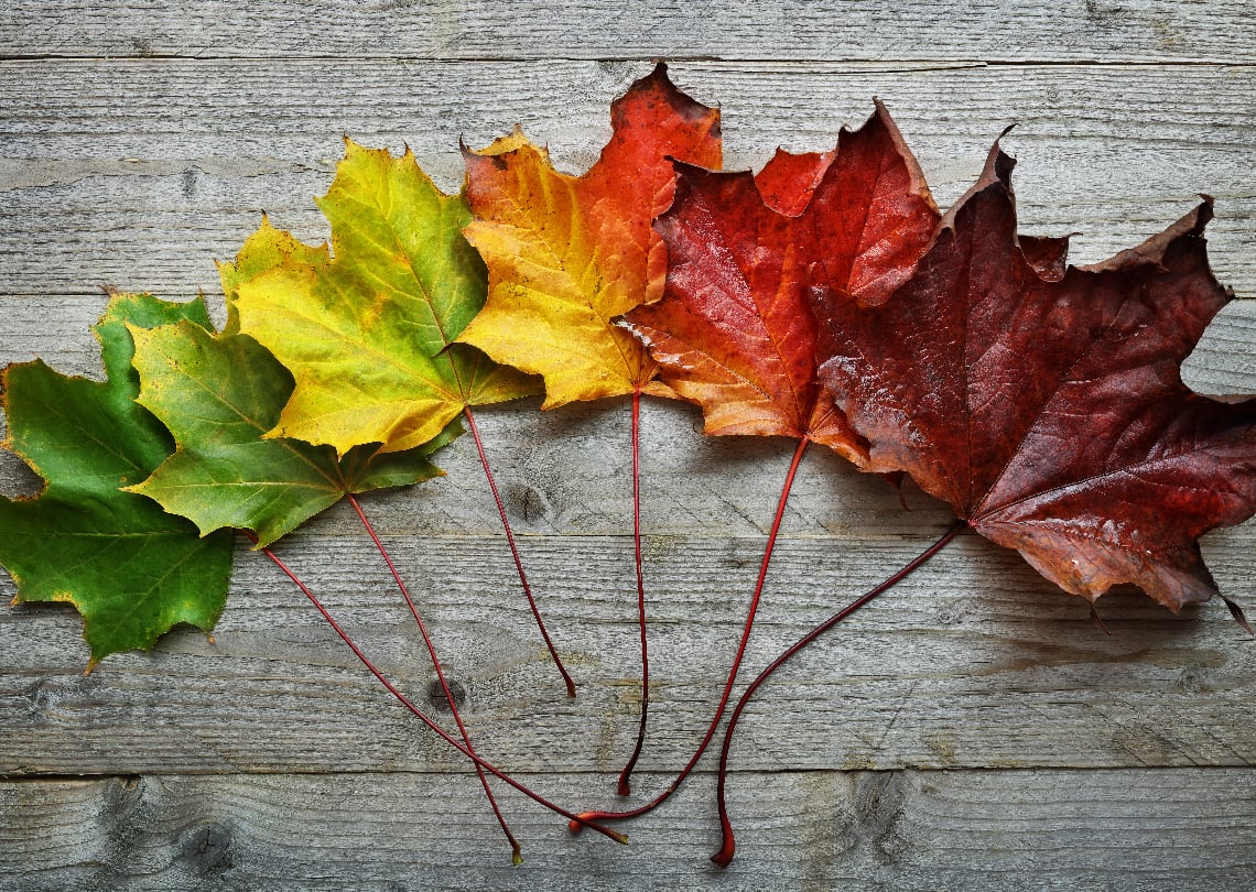 changing-nature-blog-1140x810