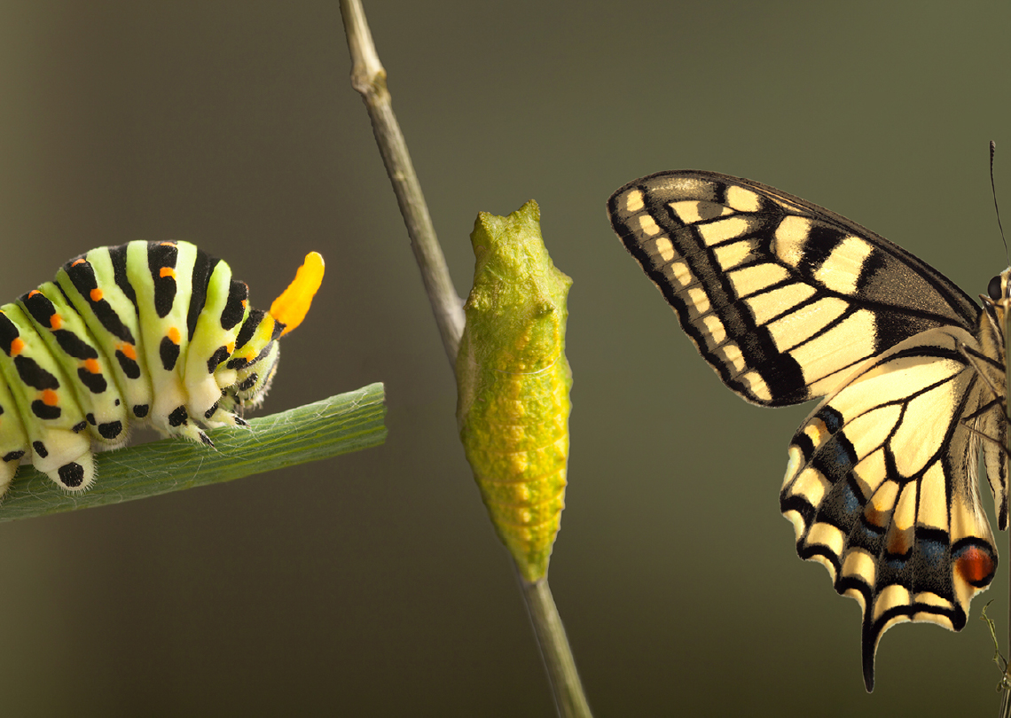 what-next-for-branch-trasnsformation-blog-1140x810