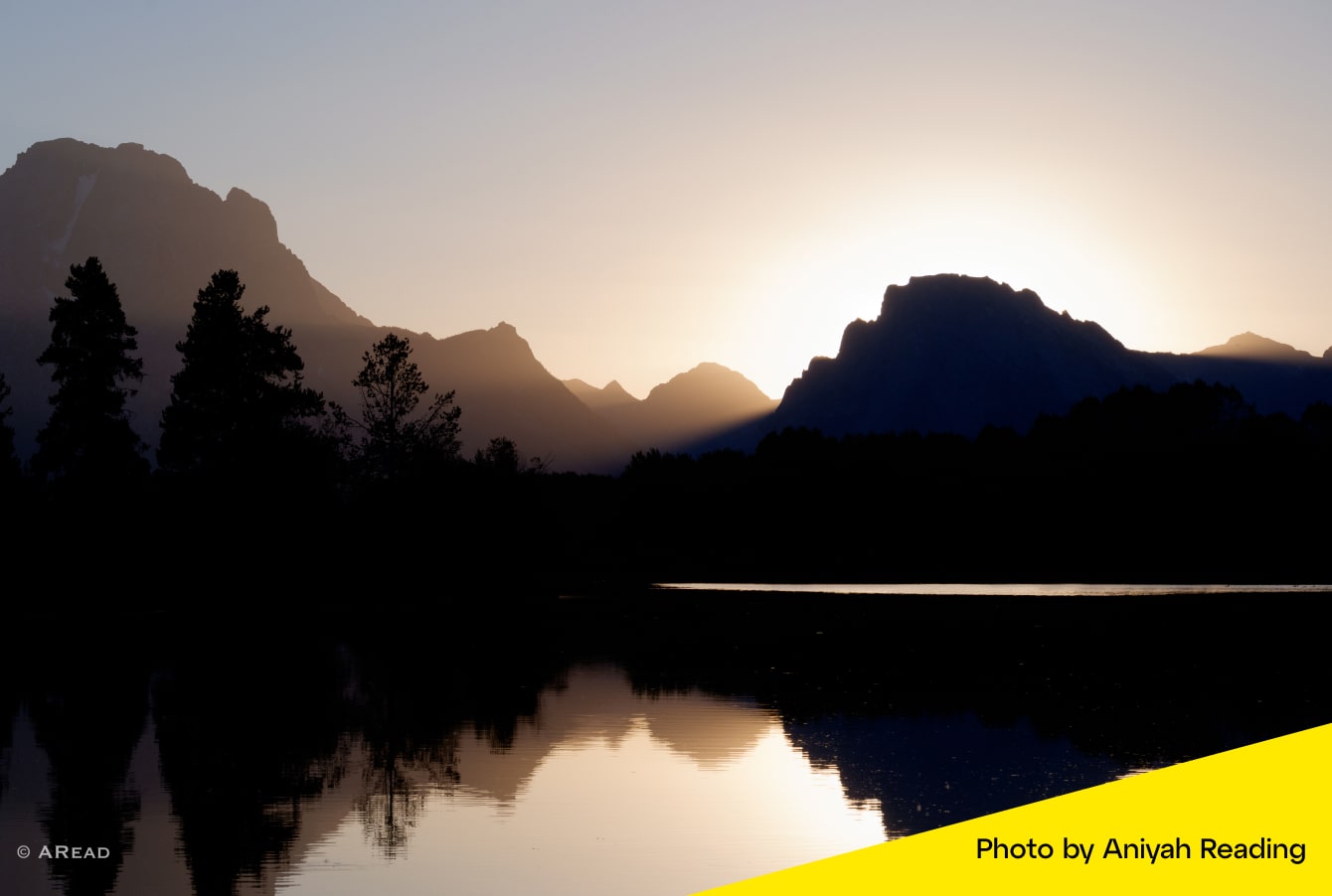 Concilier passion et objectifs avec Aniyah Reading.