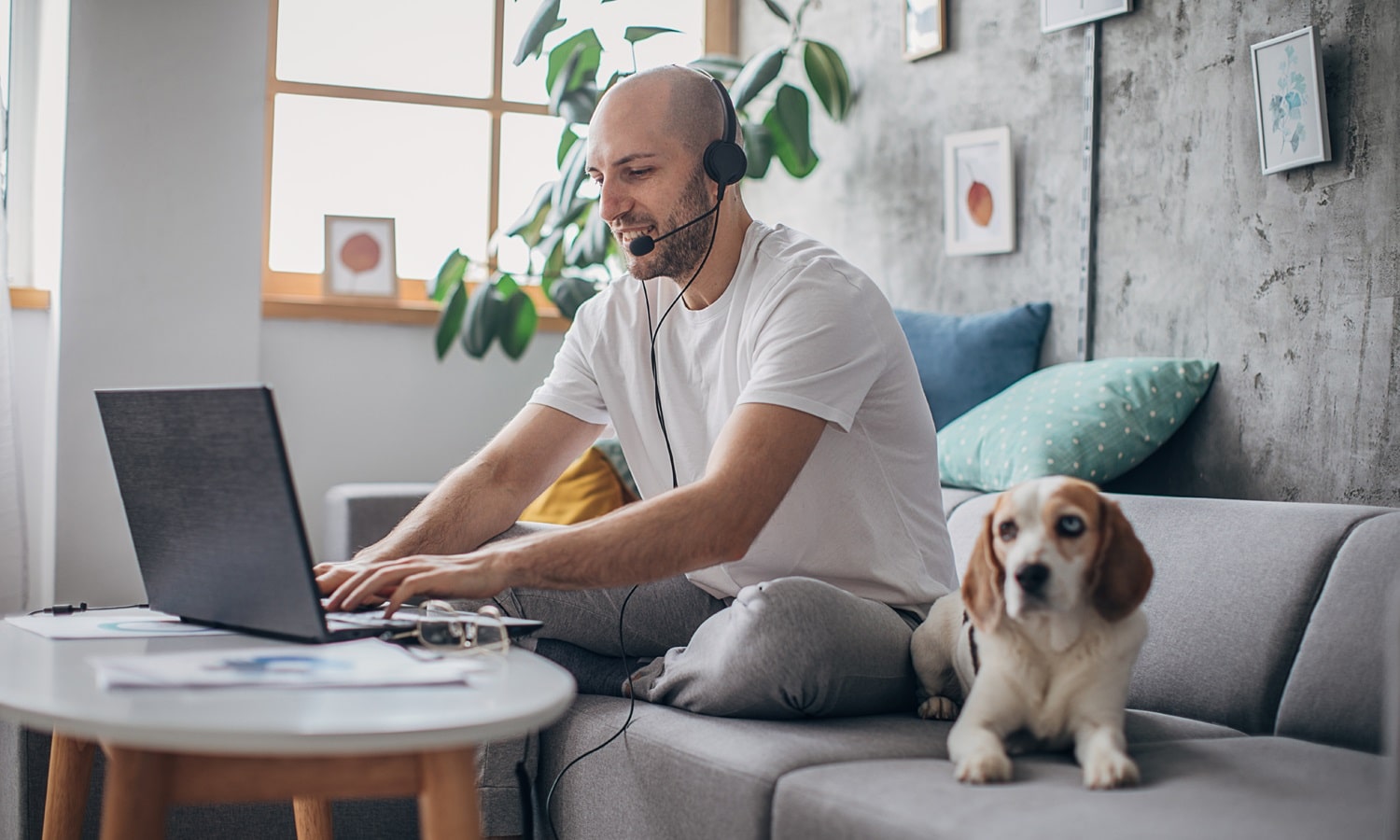 Témoignage client : Alpha CC