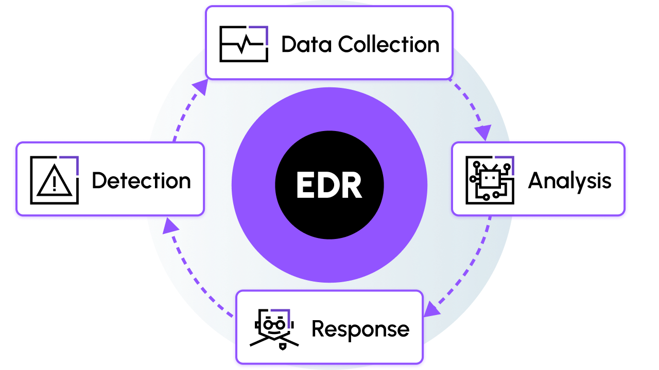 Diagram of the continuous EDR cycle of data collection, analysis, response and detection