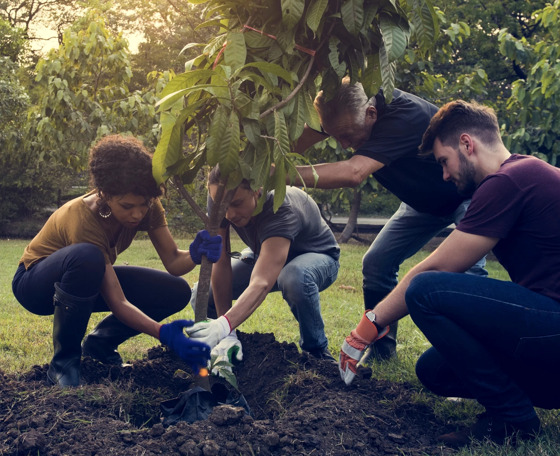 Plant more trees