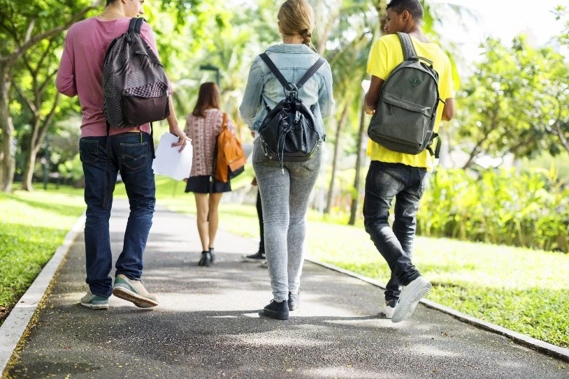 a group of people walking on a path