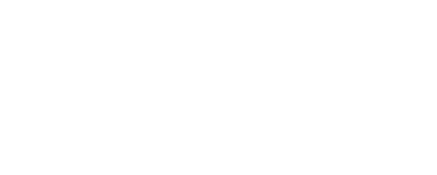 Avana Long Point logo