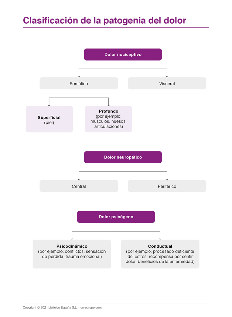 clasificación de la patogenia del dolor