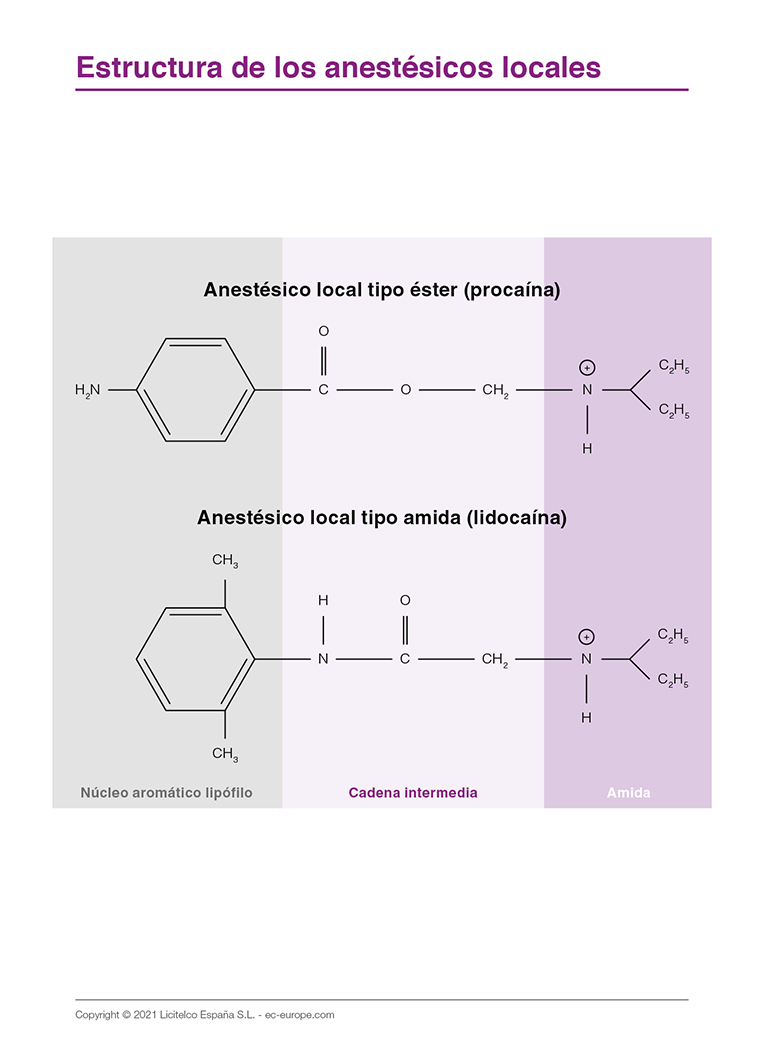 estructura de los anestésicos locales