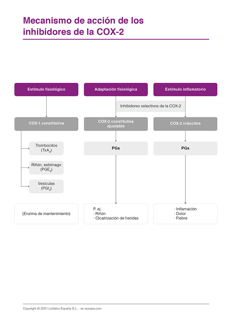 Mecanismo de acción de los inhibidores de la COX-2