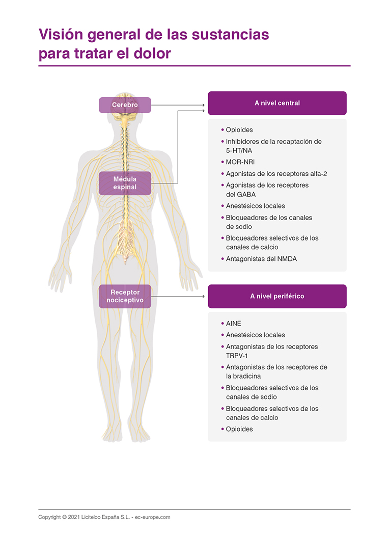 vision general de las sustancias para tratar el dolor