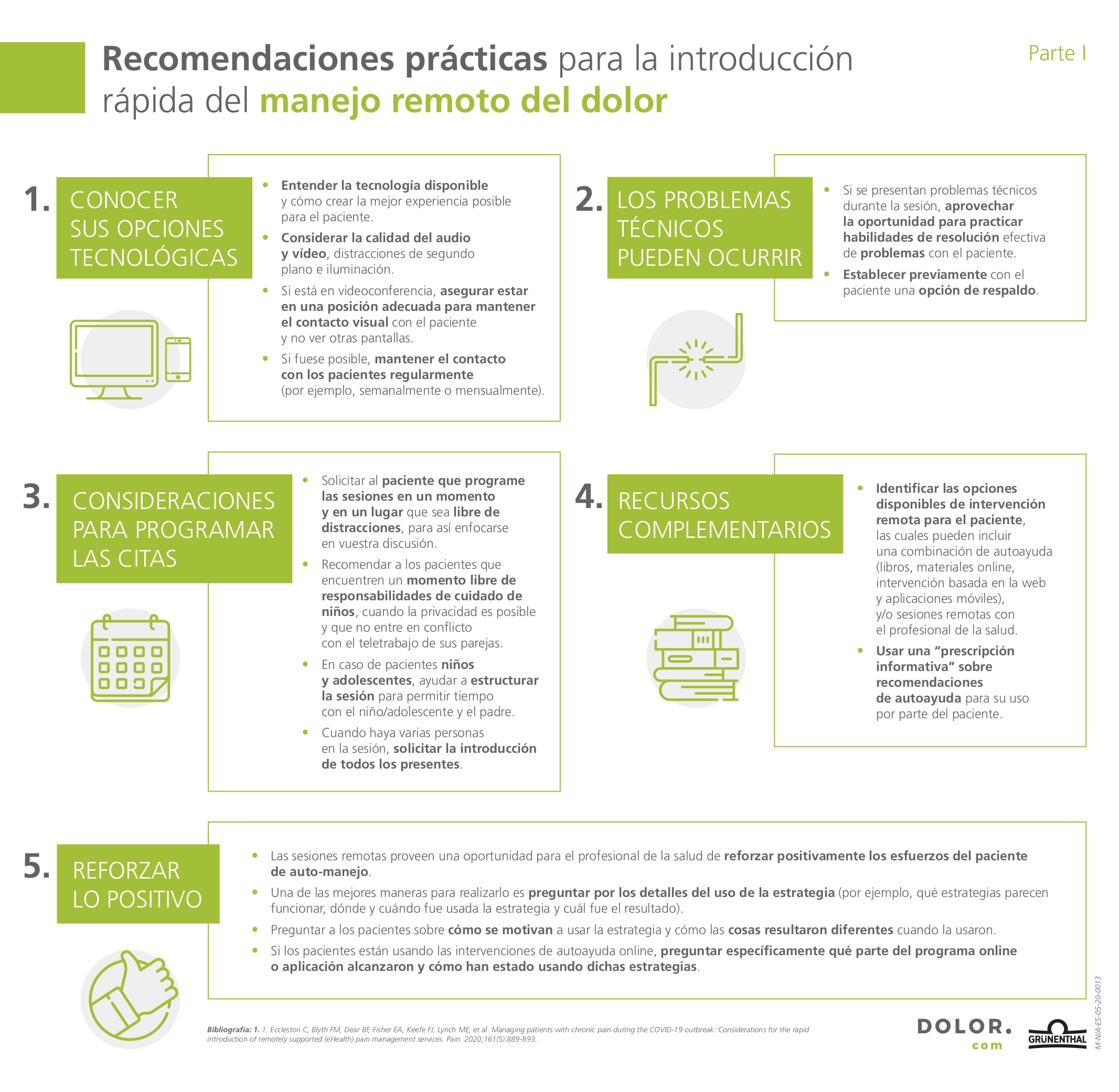 recomendaciones practicas introduccion rapida manejo remoto dolor 1
