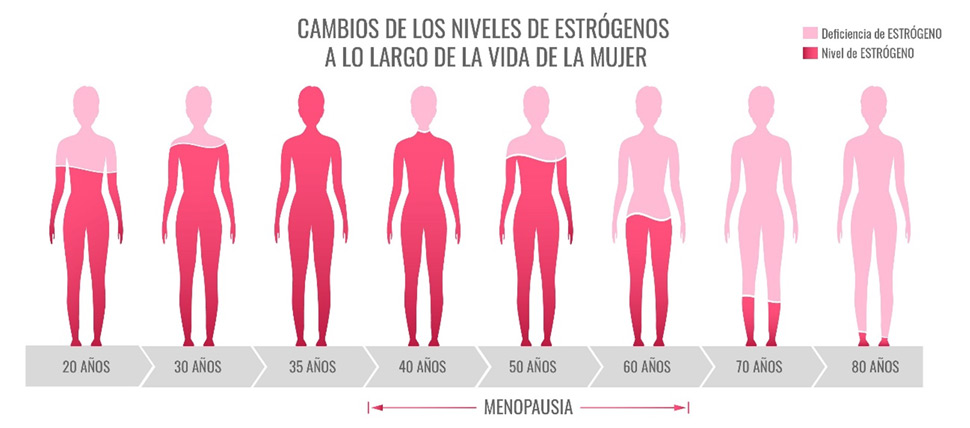 Cambios de los niveles de estrógenos a lo largo de la vida de la mujer