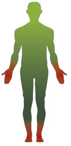 cuerpo humano
