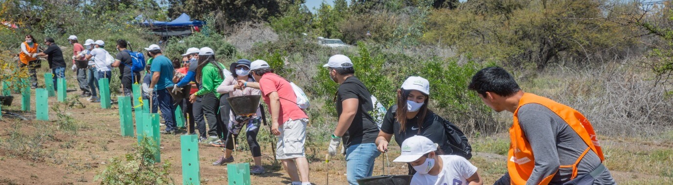 Webstory-Treesforourplanet-1376-380