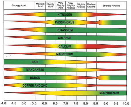 Soil pH Nutrient Availability