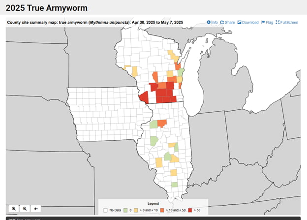 Armyworm Species in Field Crops