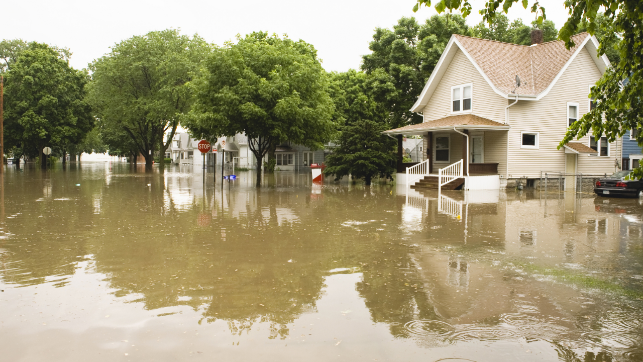 Water damage (flooding)