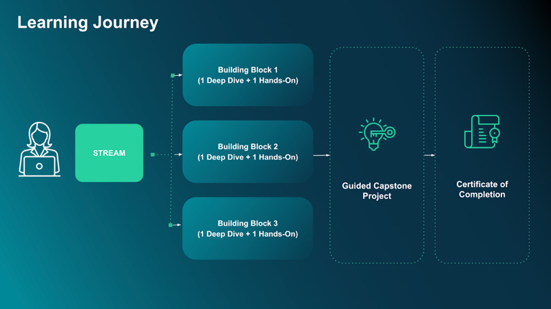illustrated chart - Learning Journey