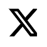 x icon black