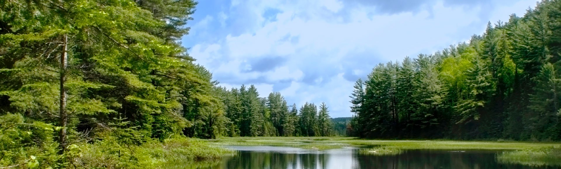 Environmental banner