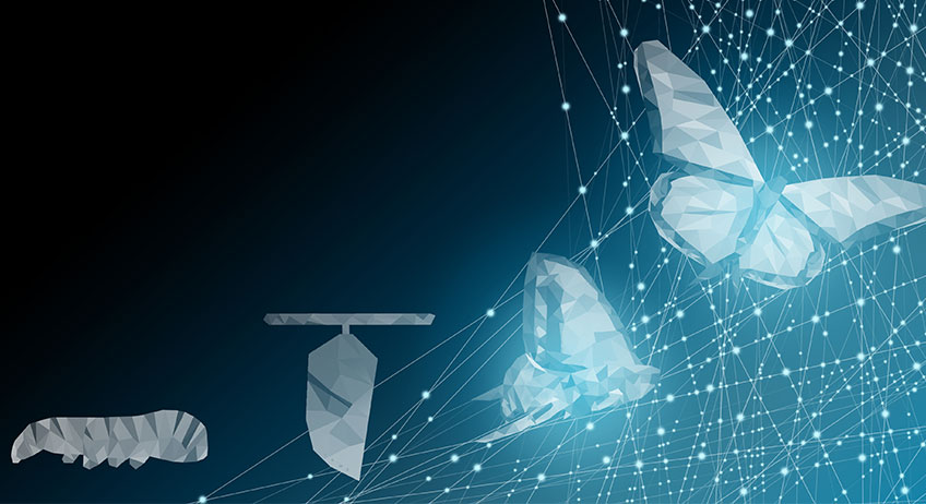 Leading change in an unpredictable environment