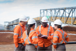 Integrated expertise, on-site