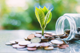 Low capital first