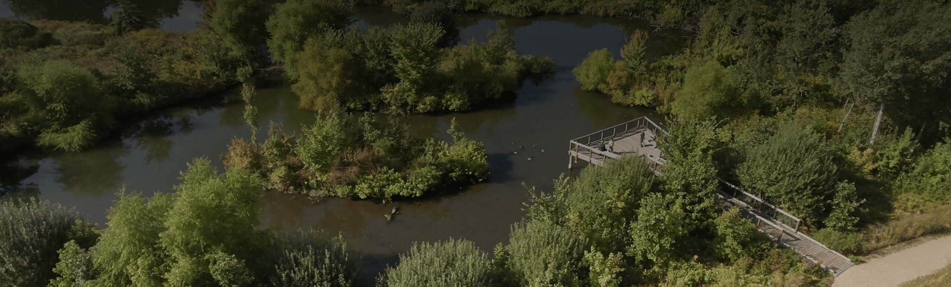 Alewife Stormwater Wetland