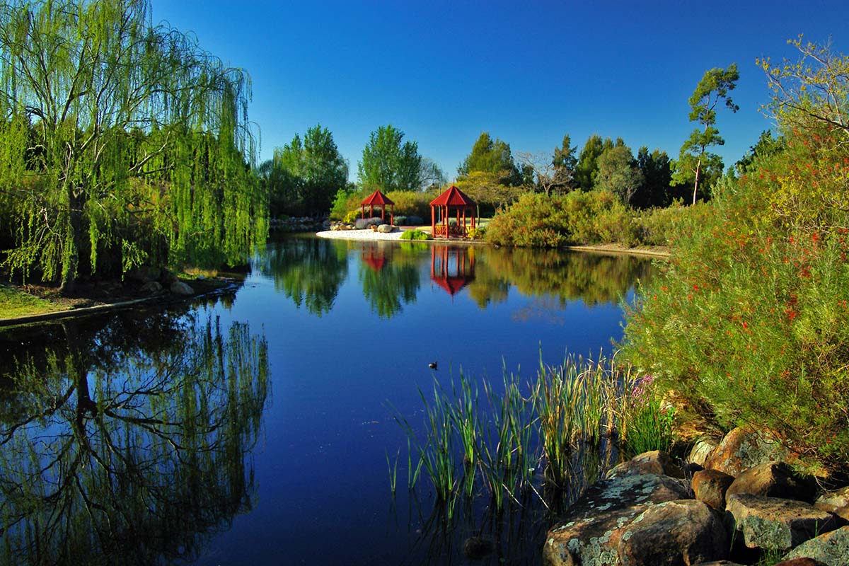 Woodlake 2005 project