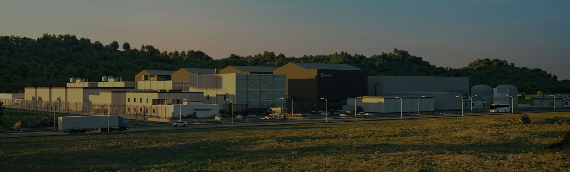 XE-100 4 Pack Plant