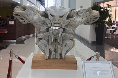 La quête d’Odin (Odin’s Journey), Abraham Anghik Ruben