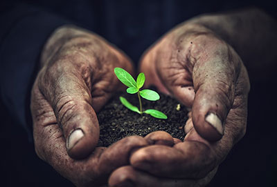 Expertos de Hatch aparecen en un libro electrónico nuevo: "The Small Footprint Mine" (La mina de pequeño impacto), publicado por Austmine, el organismo industrial líder en el sector de Equipos, Tecnología y Servicios de Minería (METS) de Australia.