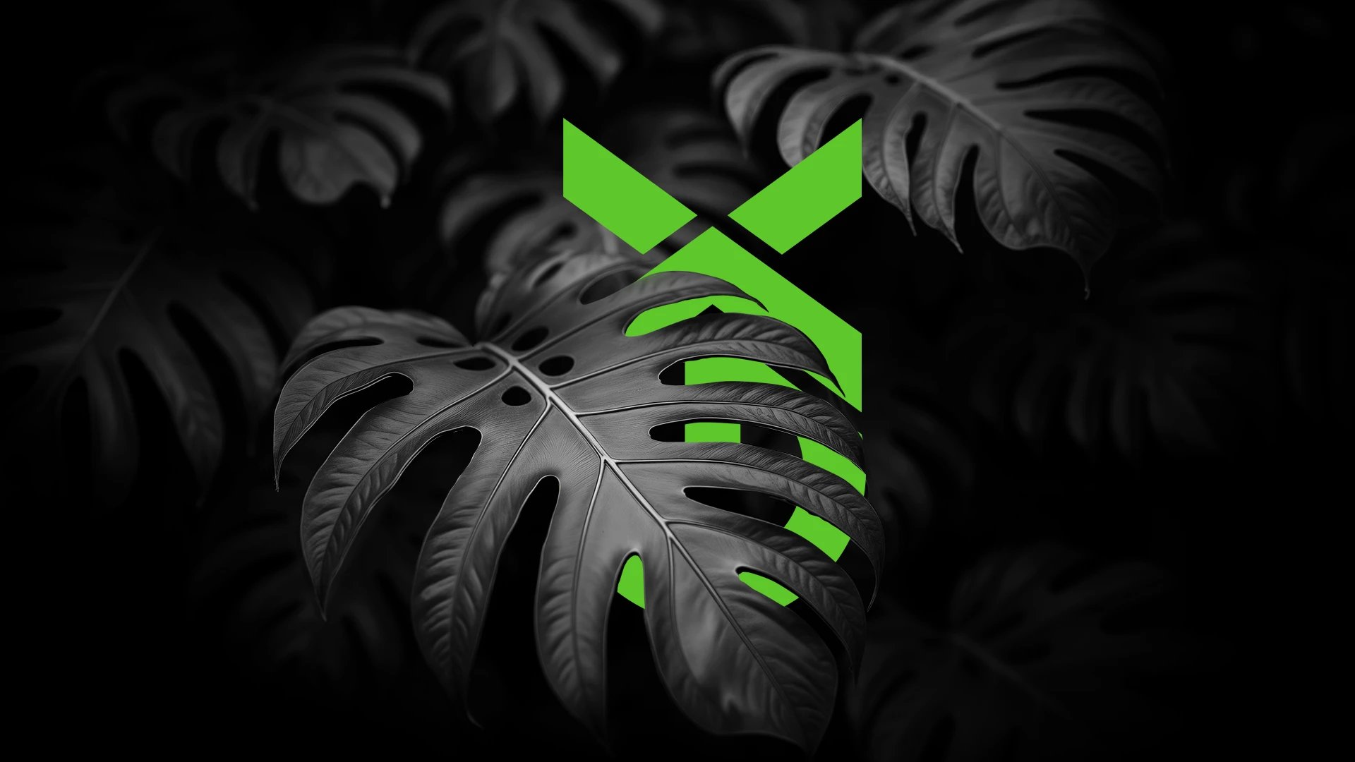 BannerOurCompany