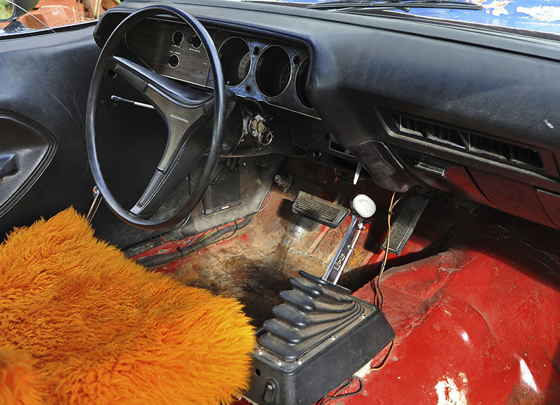 Cuda-blogg-4_low
