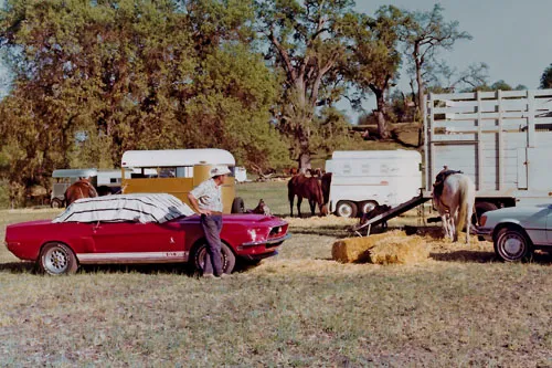 Shelby Cobra GT 350_9