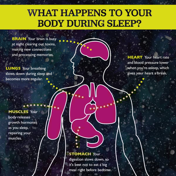 Blog sleep infographic