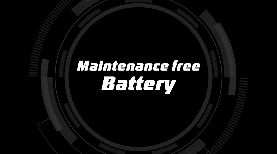 Maintenance Free Battery