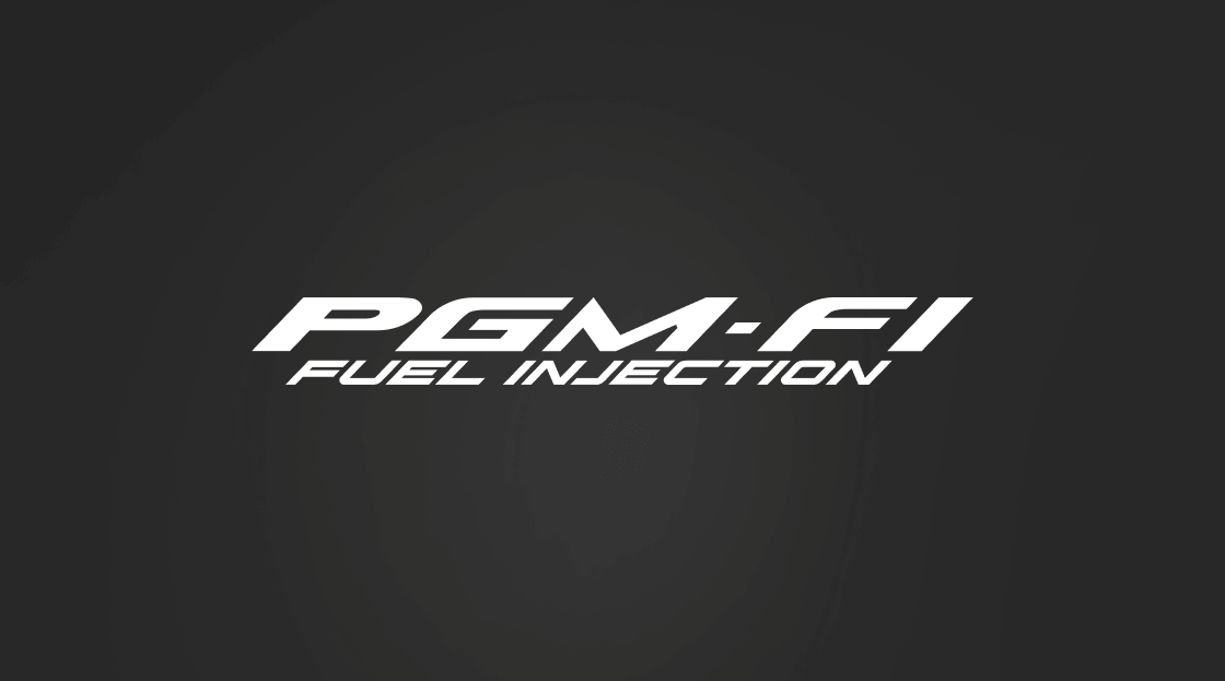 PGM-FI System