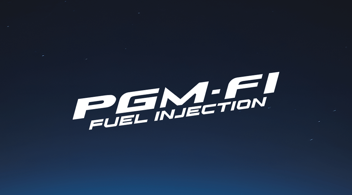 PGM-FI System
