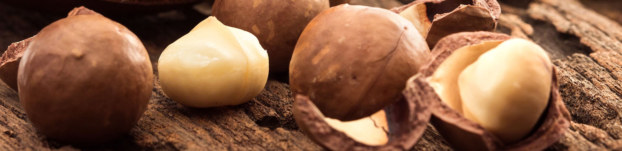 macadamia