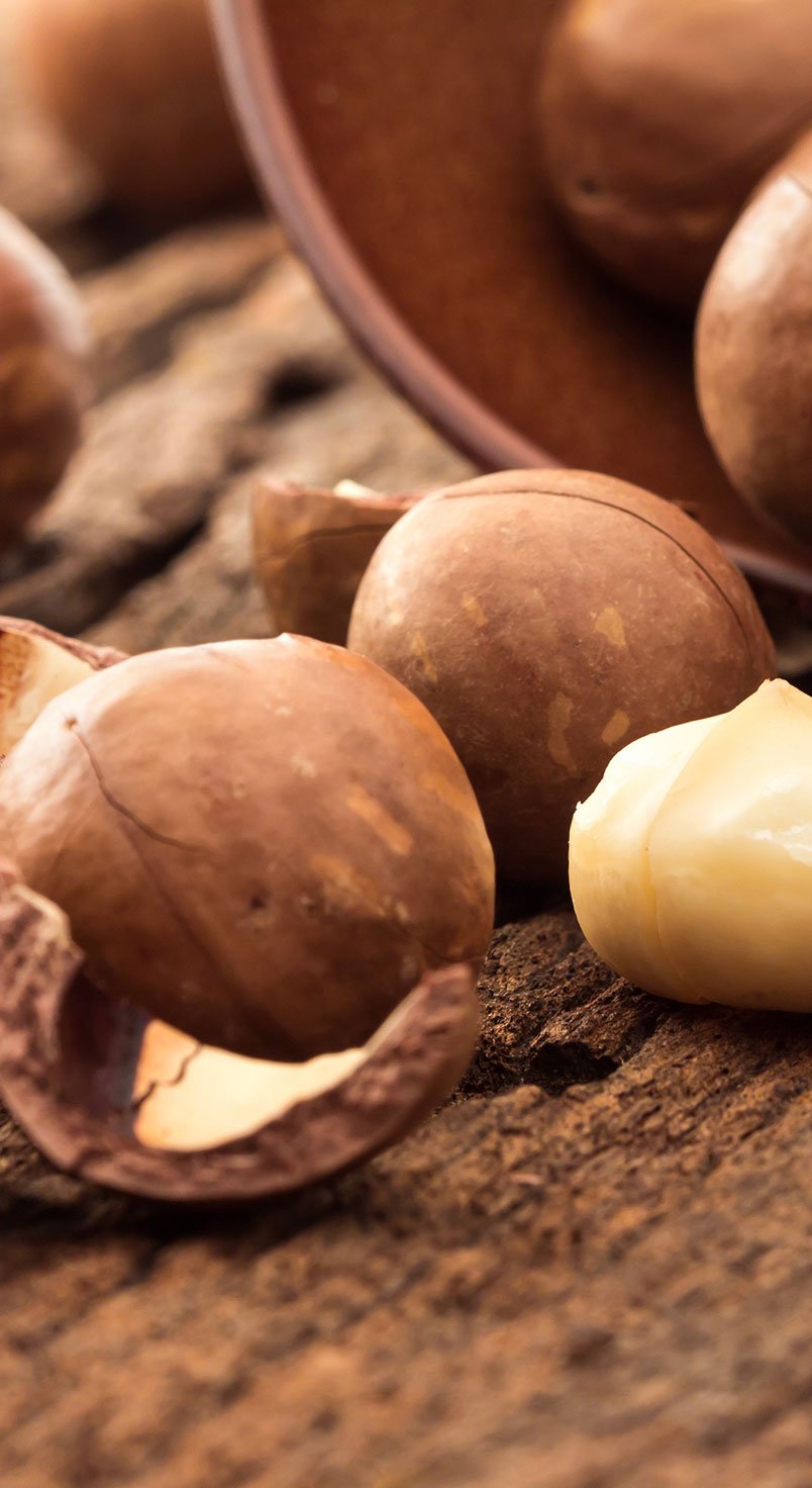 macadamia