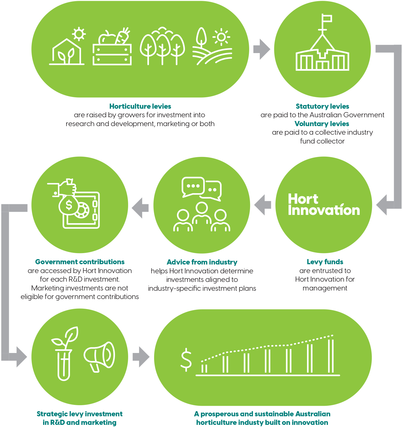 Hort-Innovation-levy-funding-diagram-6-2024