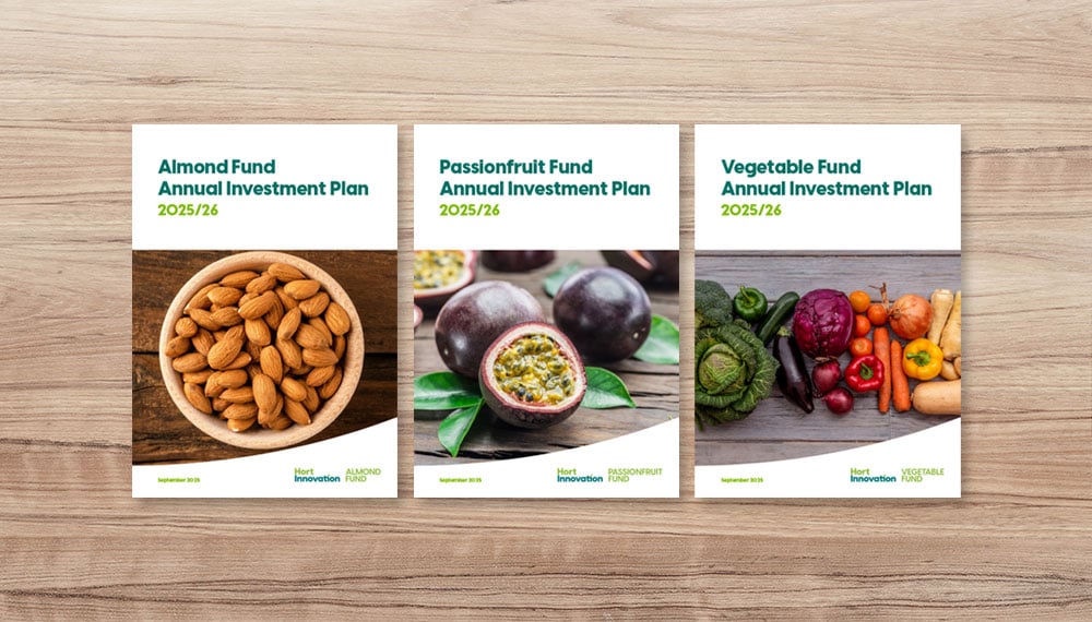 Annual Investment Plans