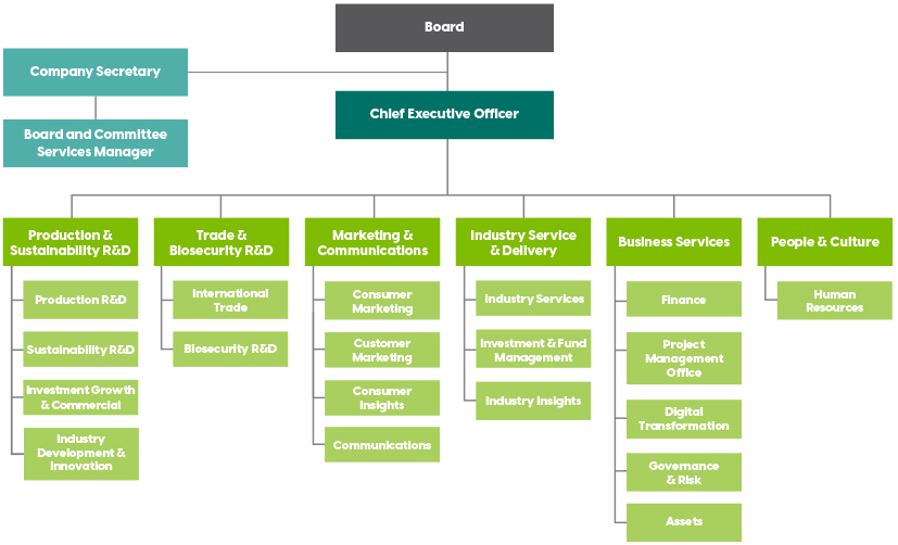 Company-structure-October-Feb-2025