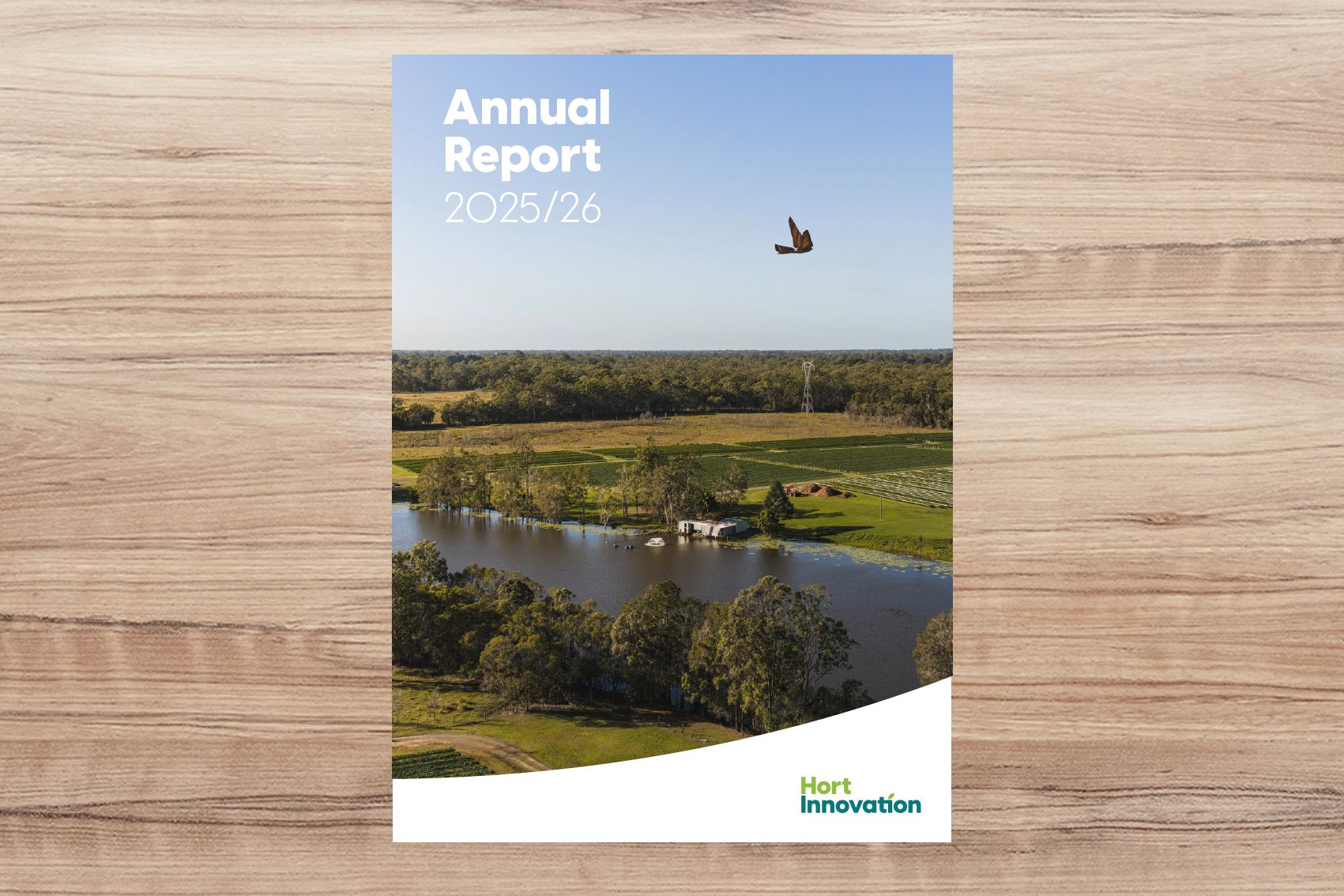 Article-AU-Annual-Report-2025-26