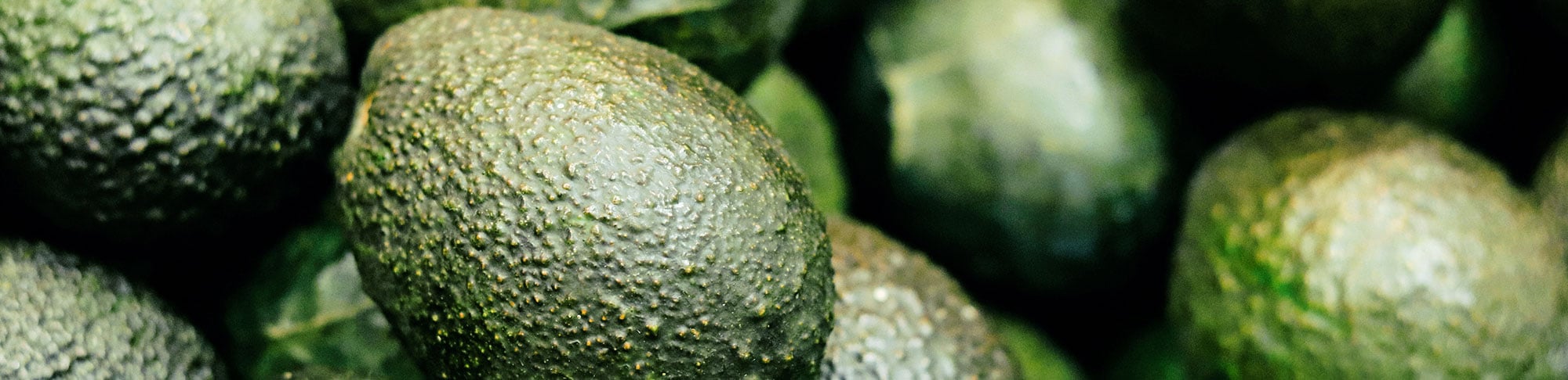 FP_Desk-Avocado-R2
