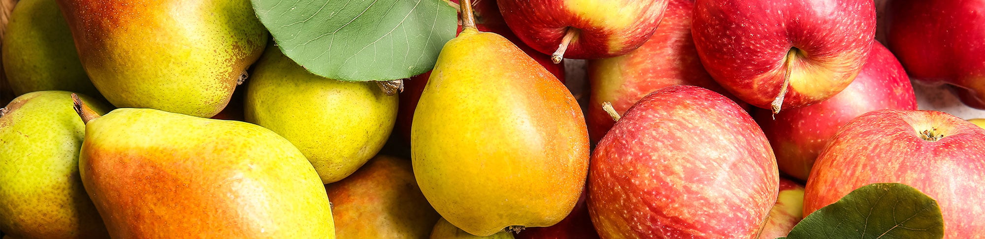 apple and pear
