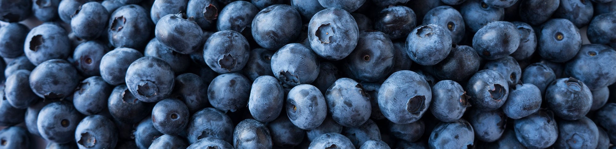 blueberry