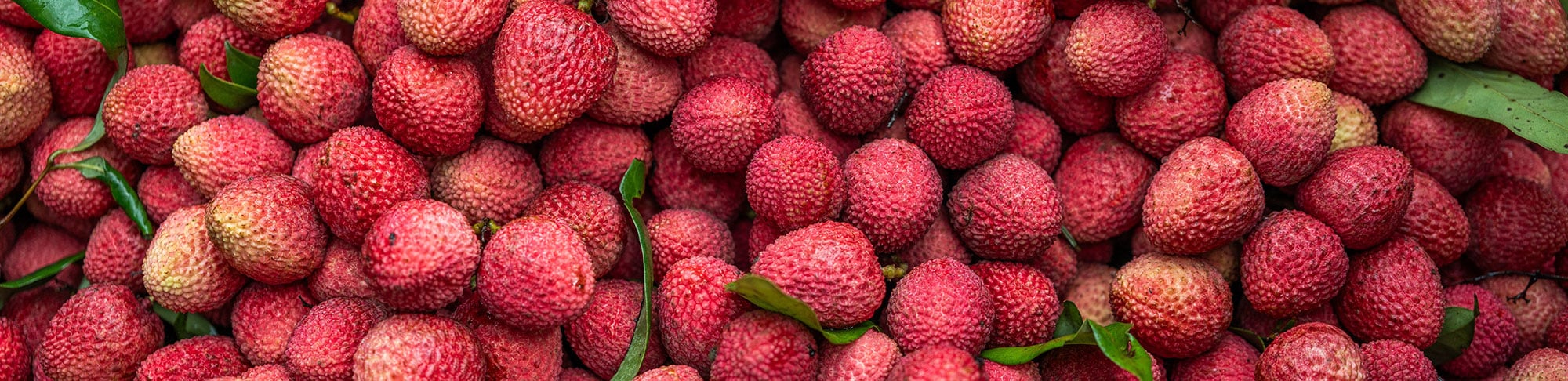 lychee