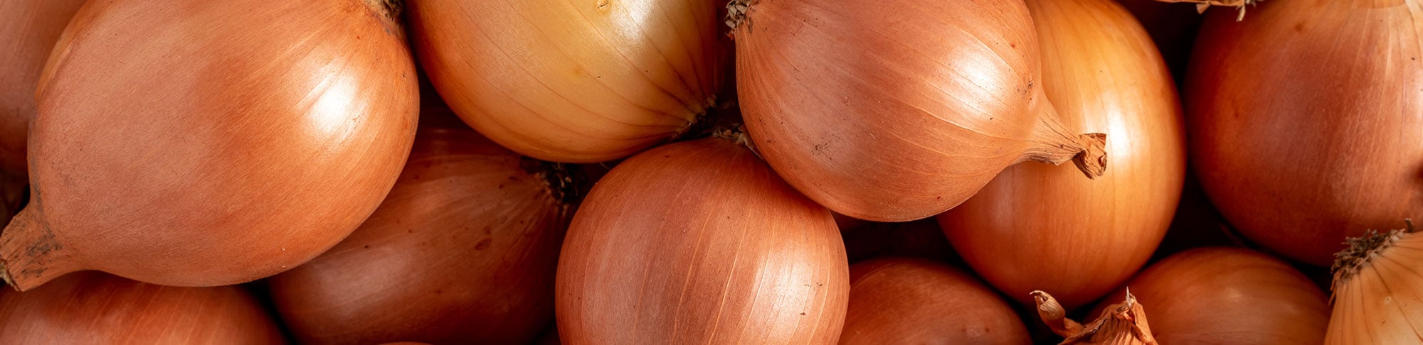 onion