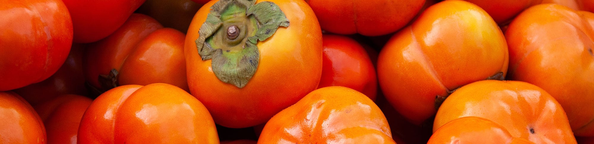 persimmon