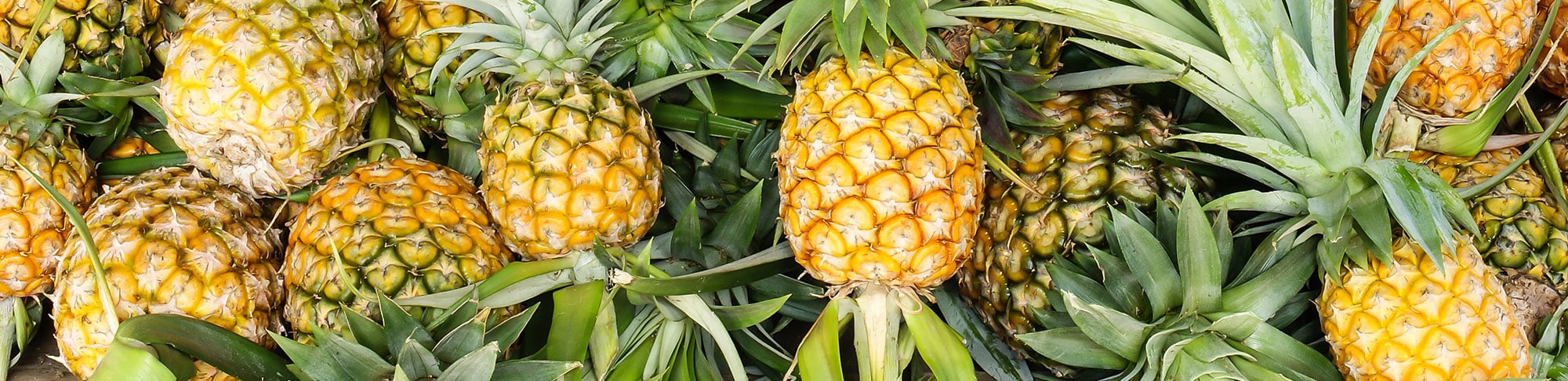 pineapple